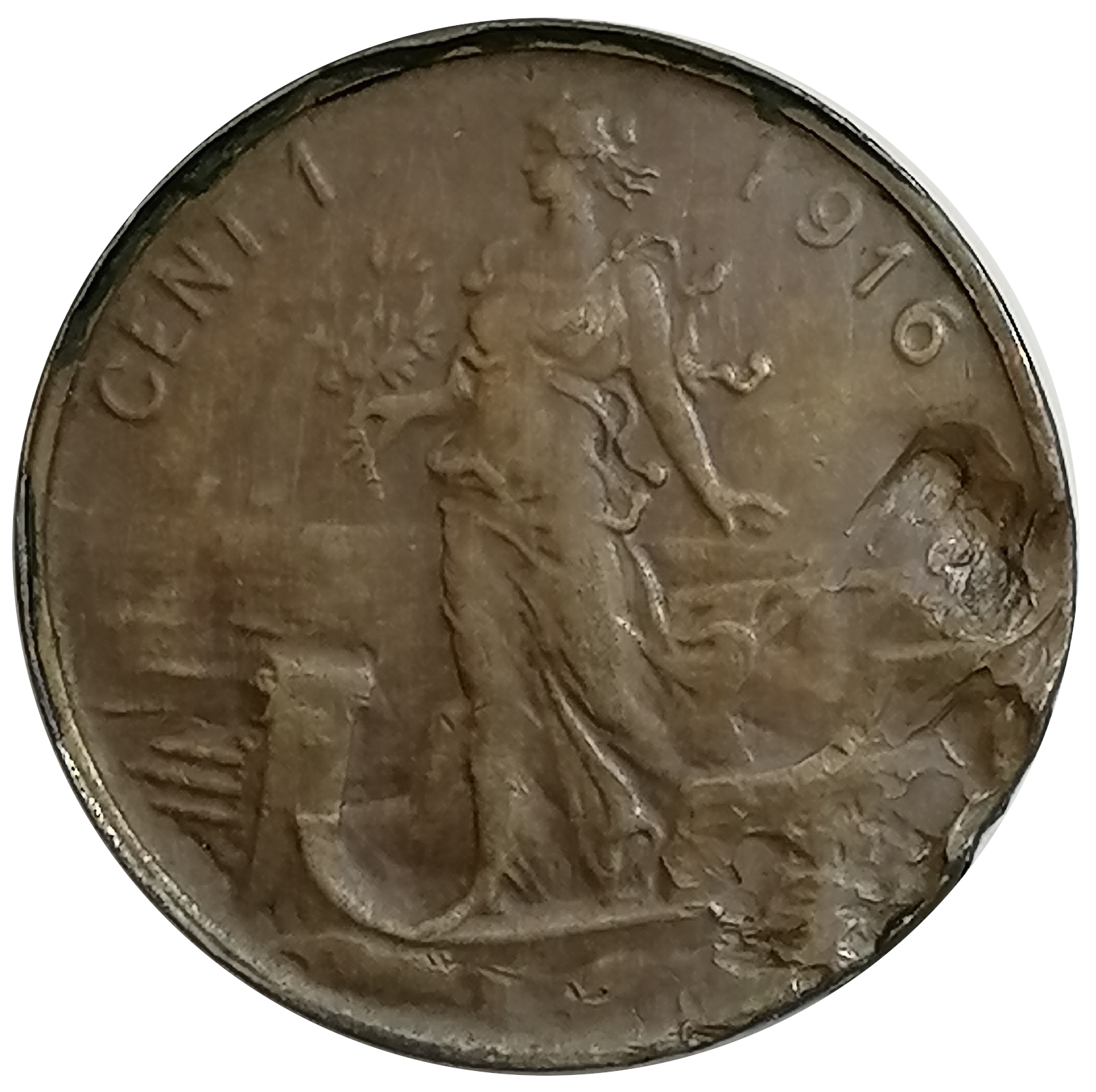 sena coins